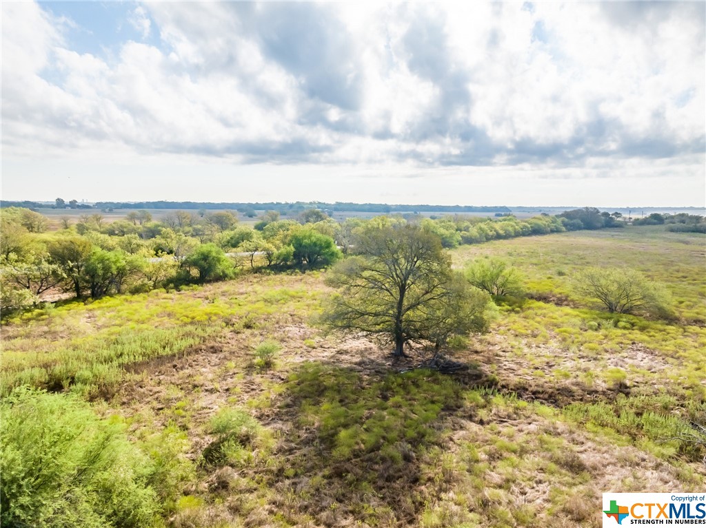 Situated on the corner of State Hwy 90 and FM 2091 is a rare 13.4 acres. This property presents an excellent opportunity to build your dream home. The acreage is currently under a grazing lease and holds an agriculture exemption. Light deed restrictions will keep the value of the property. Gonzales County Water available. Property shown by appointment only. No trespassing.