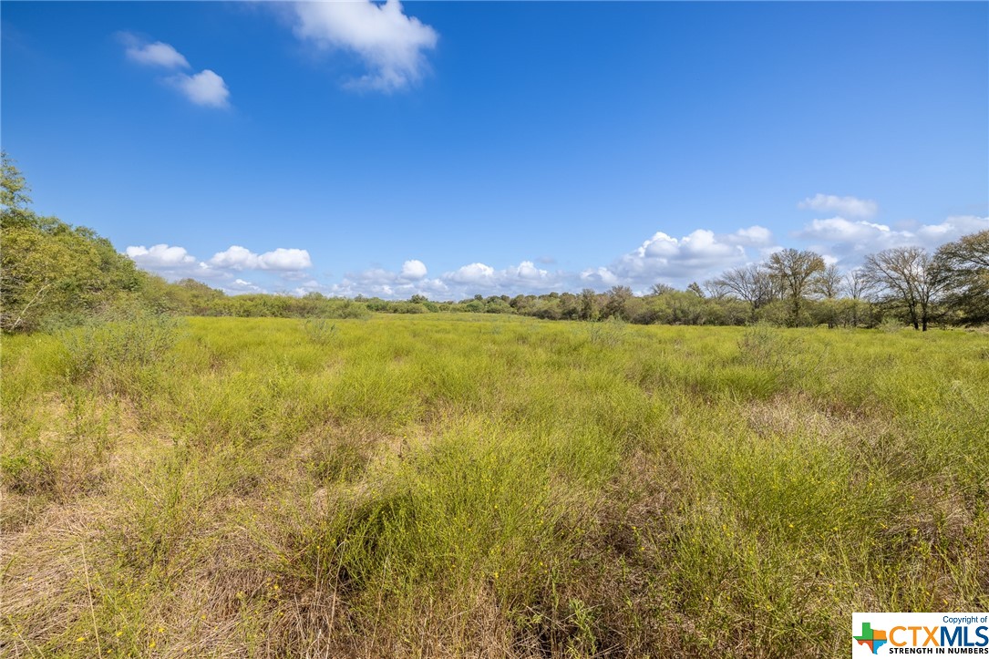 Minutes from Gonzales is this 11.6 acre parcel located on the corner of Hwy 90 and FM 2091. The property is fully fenced for livestock and falling into a flood plain in the south corner. Light deed restrictions will keep the value of the property and will be a great fit for someone wanting a rural homestead. Gonzales County Water available. Property shown by appointment only. No trespassing.