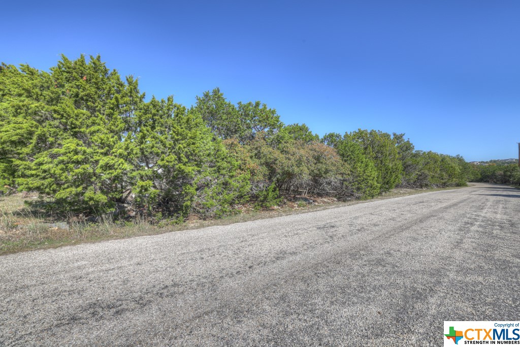 1778 Brook Valley Drive, Canyon Lake, Texas 78133, ,Land,For Sale,Brook Valley,526891