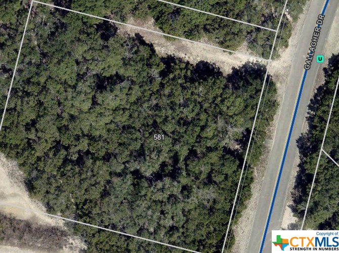 581 Gallagher Drive, Canyon Lake, Texas 78133, ,Land,For Sale,Gallagher,532113