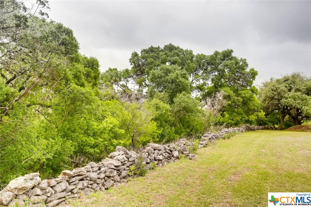 Upper side of the lots overlooking the Guadalupe River.