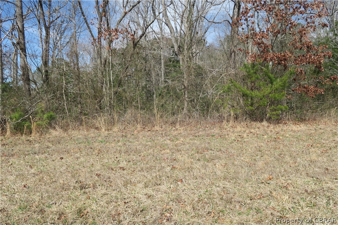 Lot 67 Lakeview Dr, Heathsville, Virginia 22473, ,Land,For sale,Lot 67 Lakeview Dr,2131870 MLS # 2131870