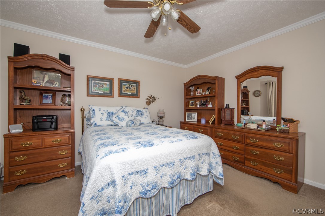 Bedroom two is located on the first level and offers carpet, crown molding, and a ceiling fan.