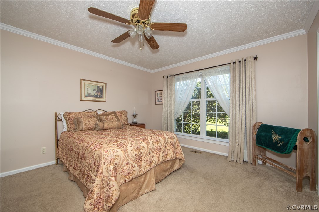 Bedroom three is on the first level and offers beautiful crown molding, carpet, ceiling fan and large window. Enjoy the amazing pastoral view.