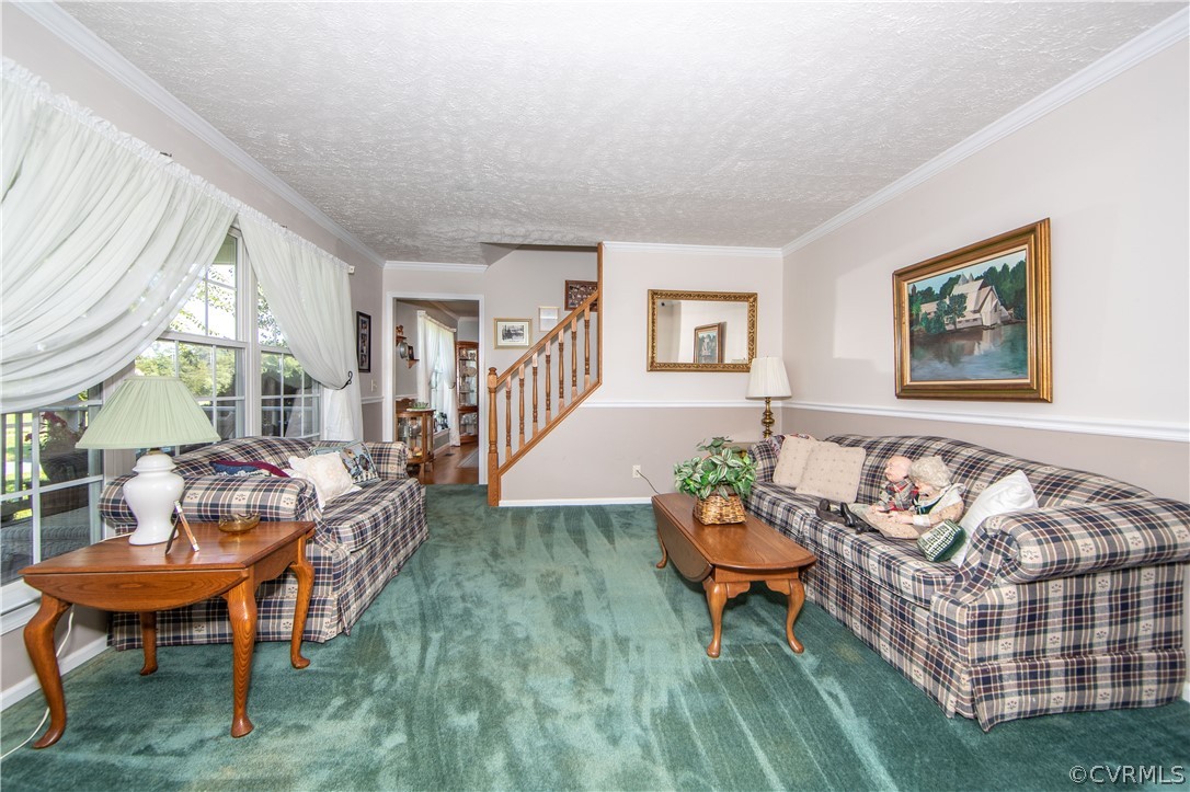 With carpet, and crown molding, the living room is both beautiful and spacious.