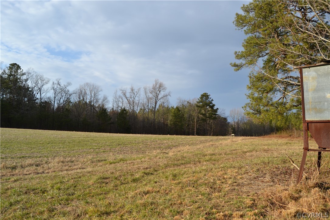 0 Township Rd, Dolphin, Virginia 23843, ,Land,For sale,0 Township Rd,2303135 MLS # 2303135