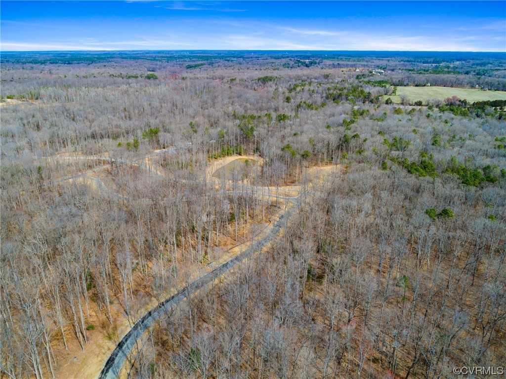 Welcome to Millwood Landing, a new subdivision quietly settled among beautiful trees and rolling hills in Hanover County, all just a stone's throw from Patrick Henry's beloved Scotchtown.