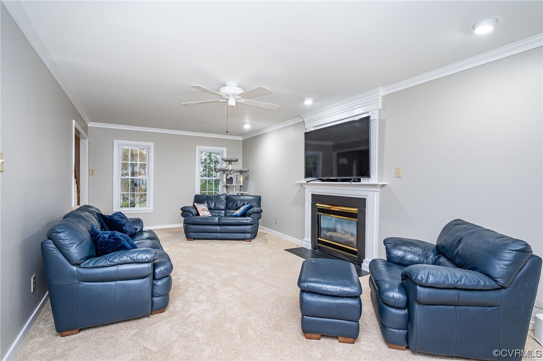 Carpeted living room featuring ceiling fan and ornamental molding