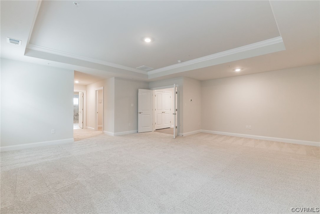 Spare room featuring a raised ceiling and light colored carpet