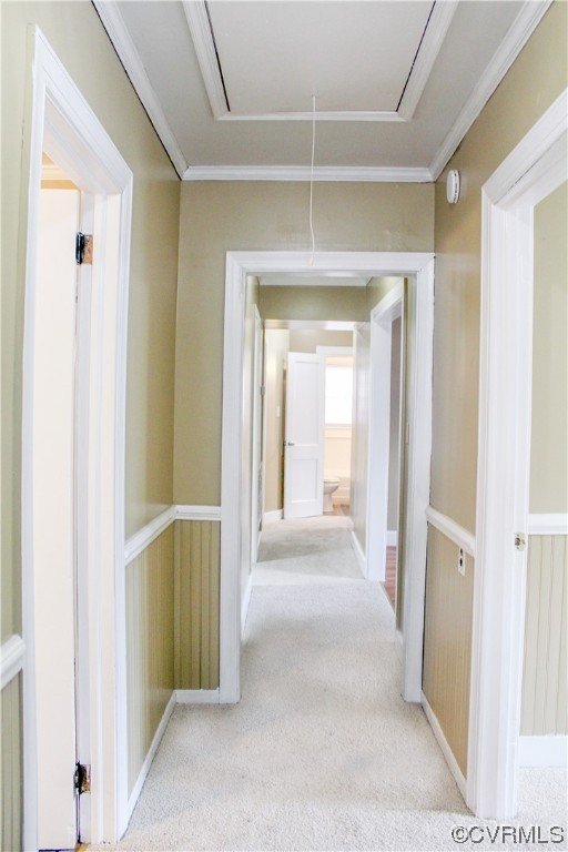 Hallway with molding and light carpet