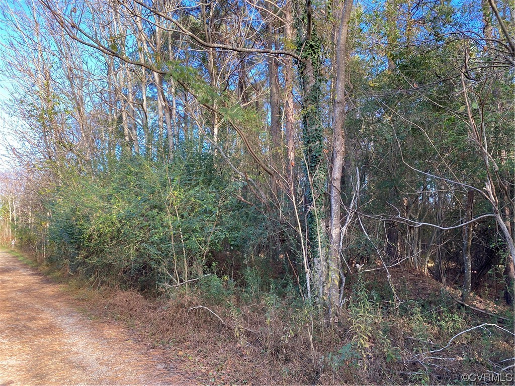00 Maryland Ave, West Point, Virginia 23181, ,Land,For sale,00 Maryland Ave,2328000 MLS # 2328000
