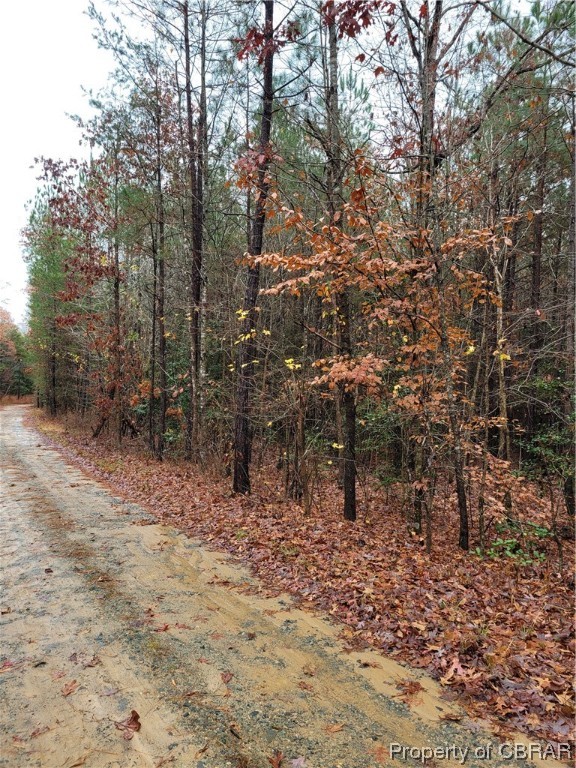0 County Line Rd, Saluda, Virginia 23149, ,Land,For sale,0 County Line Rd,2328316 MLS # 2328316
