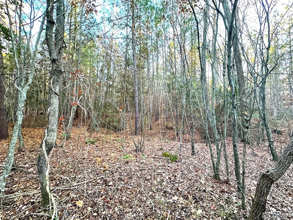 25.5 Acres (Off Of) Ladysmith Road, Ruther Glen, Virginia 22546, ,Land,For sale,25.5 Acres (Off Of) Ladysmith Road,2328405 MLS # 2328405