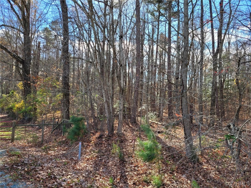 0 Pouncey Tract Rd, Rockville, Virginia 23146, ,Land,For sale,0 Pouncey Tract Rd,2328663 MLS # 2328663