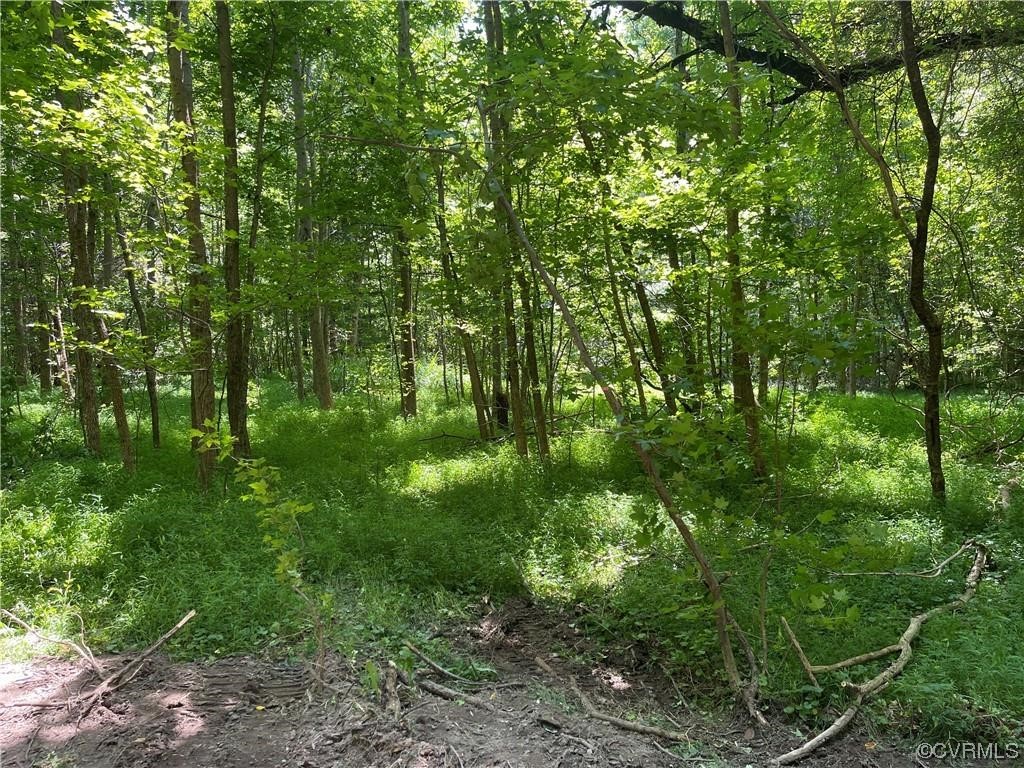 2029 Moseley Rd, Moseley, Virginia 23120, ,Land,For sale,2029 Moseley Rd,2328697 MLS # 2328697