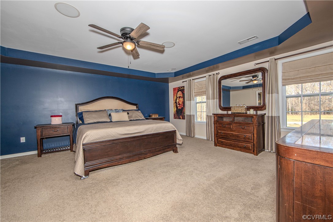 Bedroom featuring multiple windows, light carpet, ceiling fan, and a tray ceiling