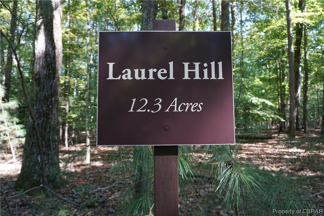 Laurel Hill 12.3 Acres
