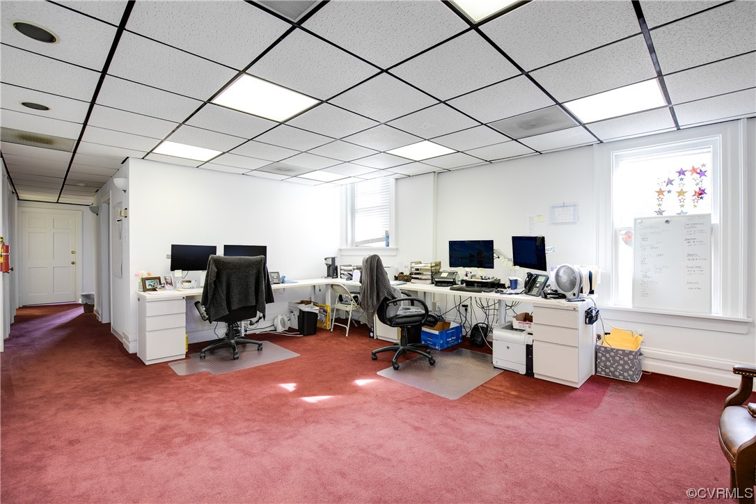 Office featuring a drop ceiling and carpet