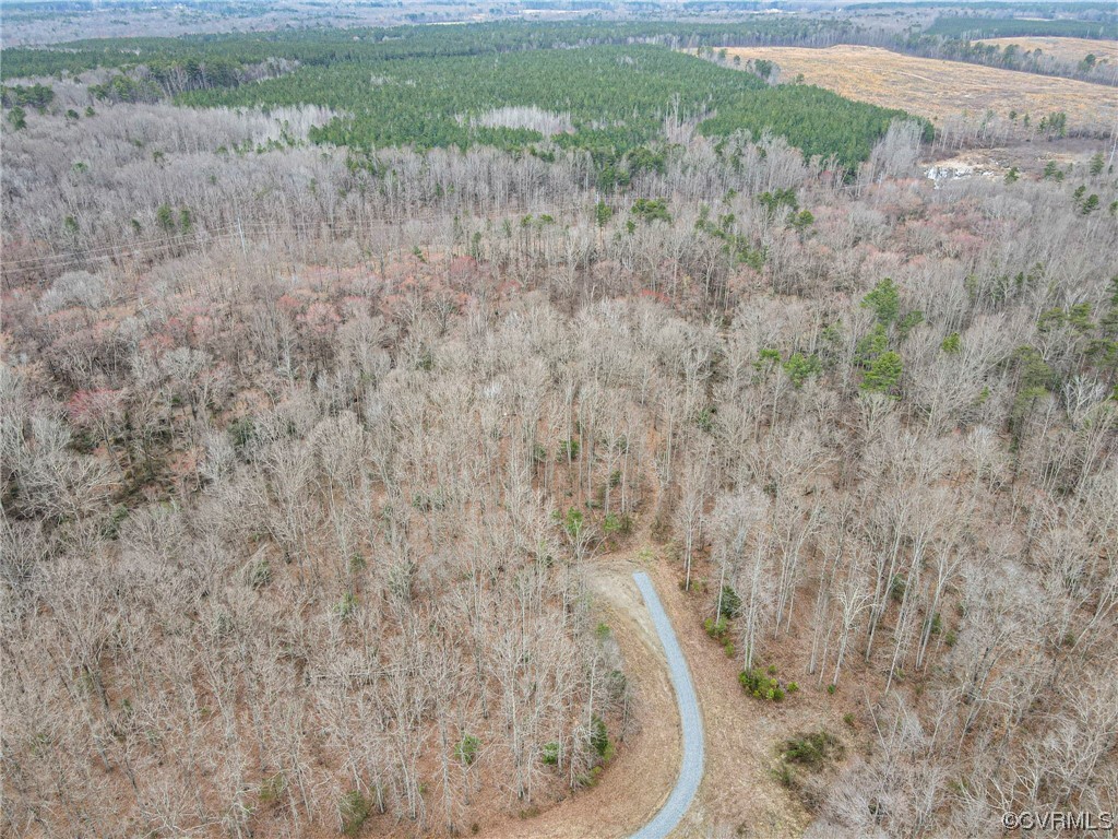 Lot C-2 Ward's Forest Ave, Hanover, Virginia 23015, ,Land,For sale,Lot C-2 Ward's Forest Ave,2402425 MLS # 2402425