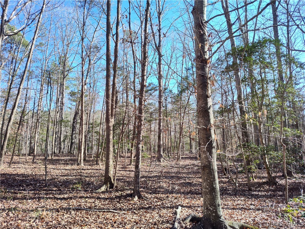 Lot 9 Colemans Lake Rd, Ford, Virginia 23850, ,Land,For sale,Lot 9 Colemans Lake Rd,2403849 MLS # 2403849