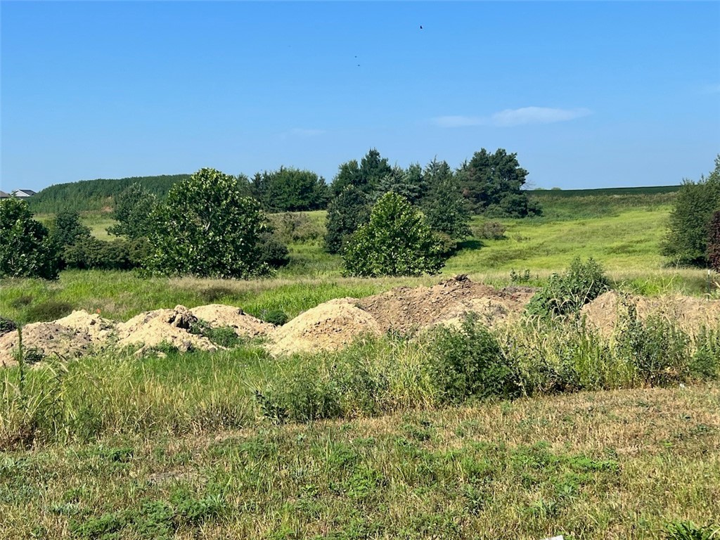 1003 59th Court, Ankeny, Iowa 50021, ,Land,For Sale,59th,678824