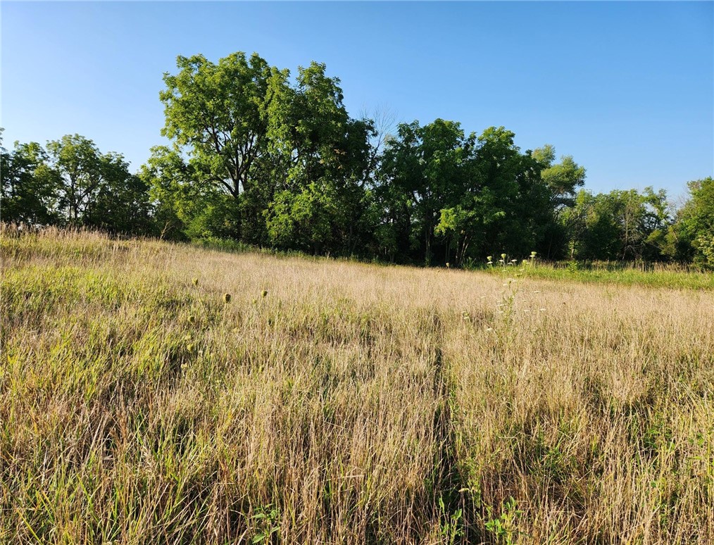 2454 Picard Drive, Tracy, Iowa 50256, ,Land,For Sale,Picard,680889