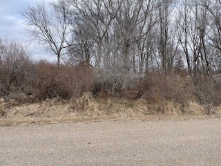 6208 Deer Lane, Panora, Iowa 50216, ,Land,For Sale,Deer,688845