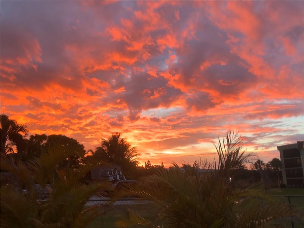 Sunset from backyard