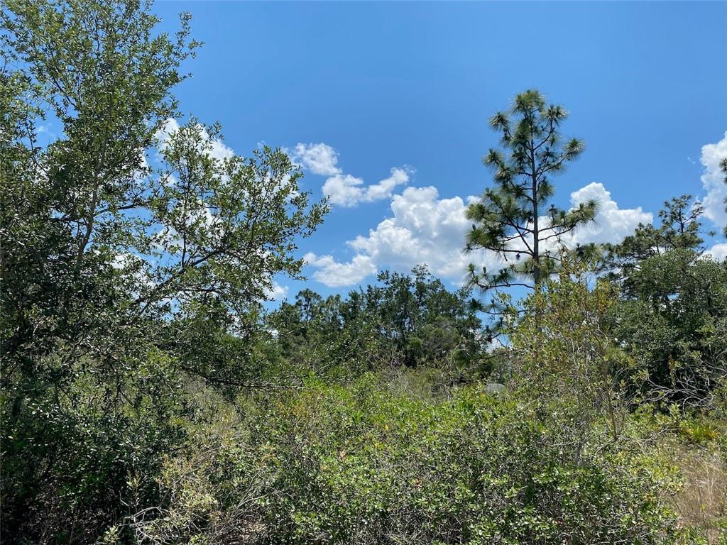 Lot 24 Blk 116 Indian Lake Drive, Other City - In The State Of Florida, FL 