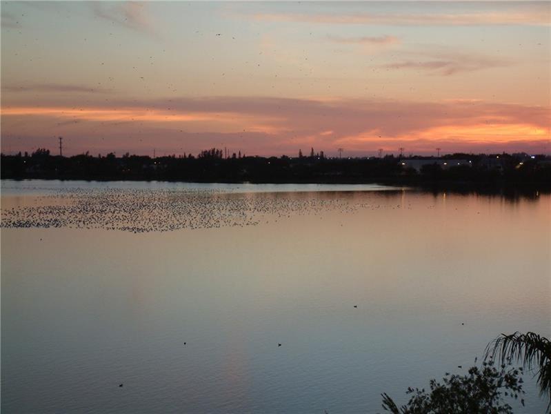 , Oakland Park, FL 33309