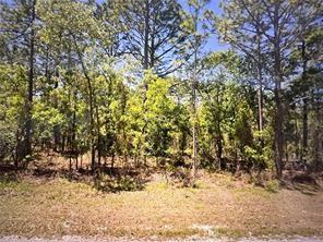 0 SW 129 Terrace RD, Other City - In The State Of Florida, FL 