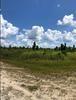 521 Calliandra Dr, Other City - In The State Of Florida, FL 