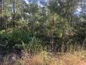 0 Childs Rd, Other City - In The State Of Florida, FL 32148