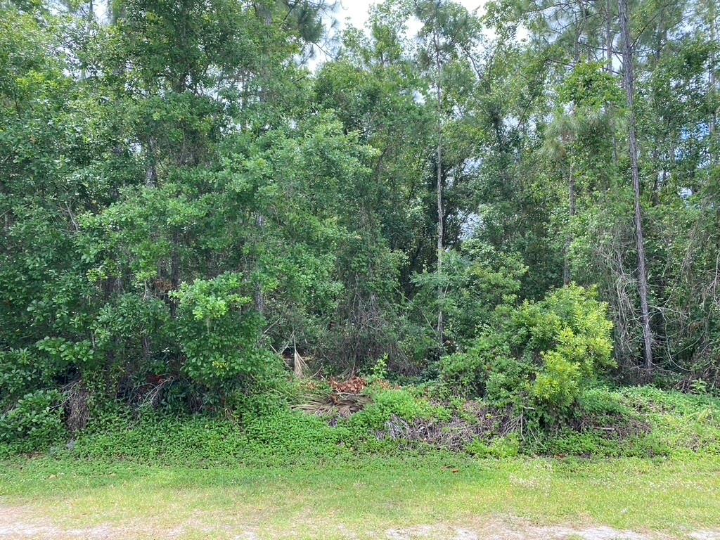 Lot 5 Allamanda Drive, Other City - In The State Of Florida, FL 