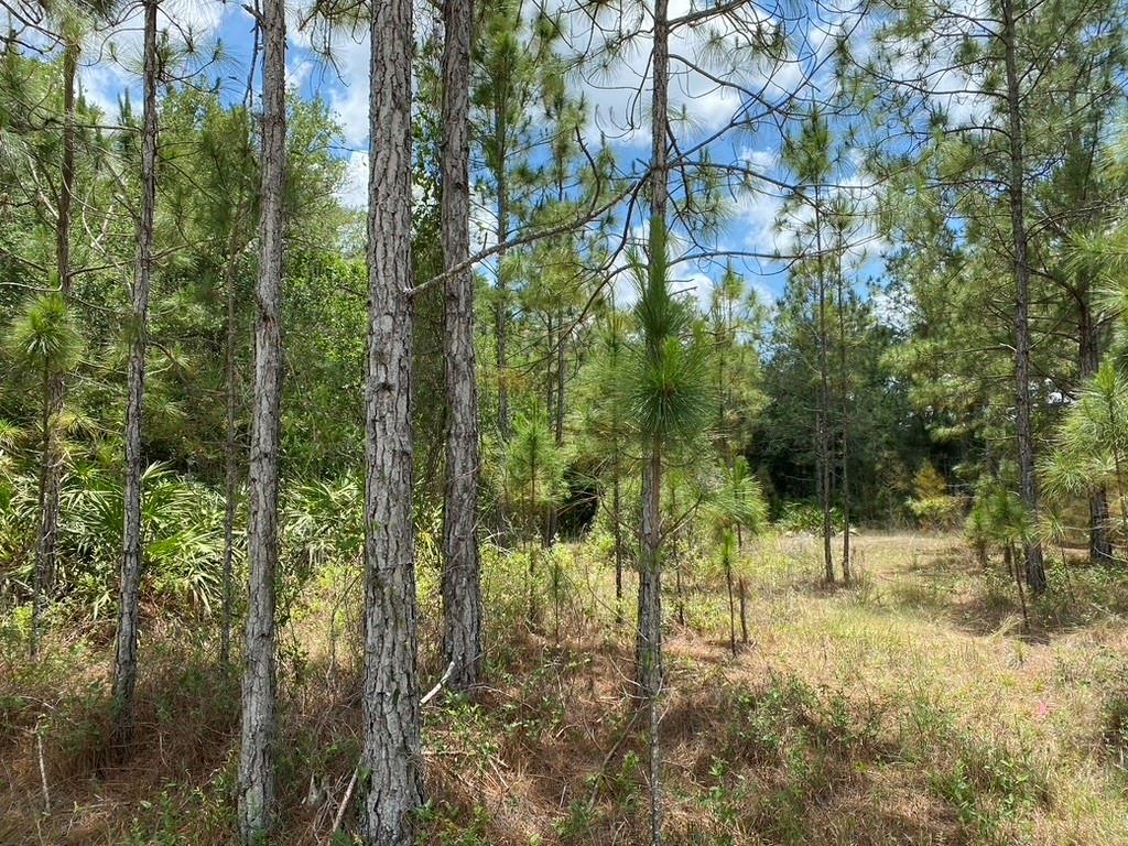 Lot 17 Orchid Drive, Other City - In The State Of Florida, FL 