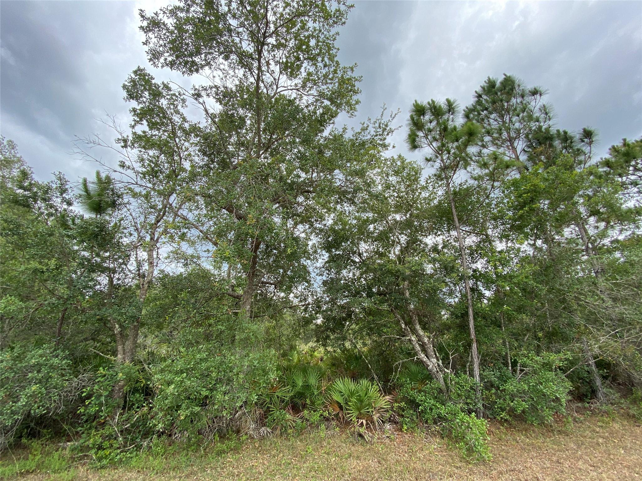 Lot 23 Orchid Drive, Other City - In The State Of Florida, FL 