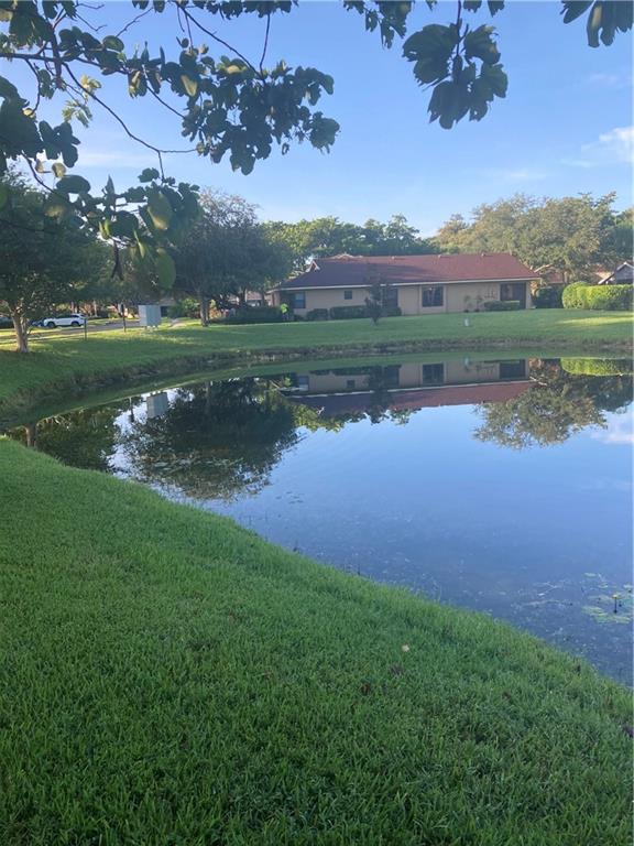 VIEW FROM BACK YARD