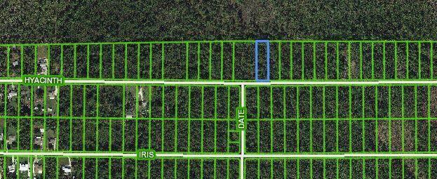 974 Hyacinth Avenue 1, Sebring, FL 33875