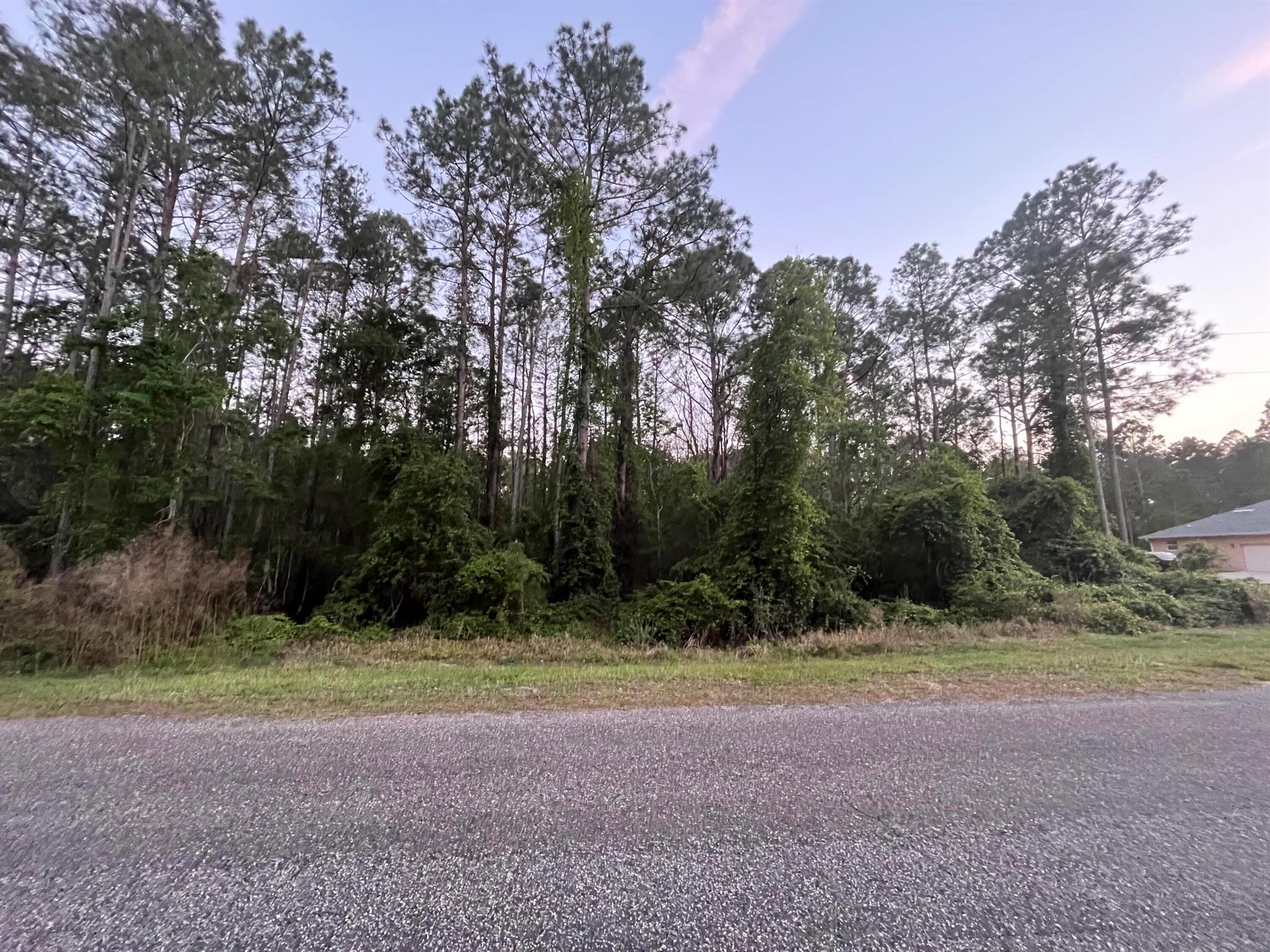 Tbd Apricot Avenue, Eustis, FL 32736