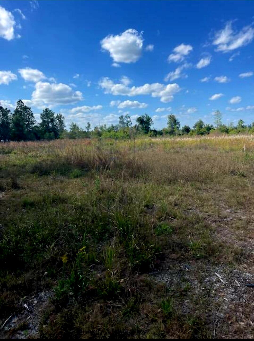 1108306 Oil Well Road, Clermont, FL 