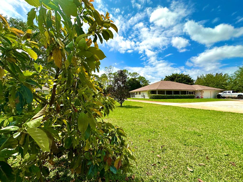 NO HOA ** 1.15 ACRES ** RARE FIND **. WELL MAINTAINED **. MASSIVE CBS CONSTRUCTION  HOME- 4510 TOTAL SQ FT.  3 BEDROOM 2 BATH HOME WITH NO HOA AND PLANS FOR A 4TH BEDROOM IF NEEDED **.  HUGE CIRCULAR CONCRETE DRIVEWAY PLUS SEPARATE CONCRETE DRIVE AND RV PAD WITH GATE ** AND CAN HOLD UP TO 15 CARS  ** GREAT HOME THAT CAN BE EASILY REDESIGNED TO FIT ANY FAMILY **.  FENCED BACK YARD FOR PETS **. ALL NICE  HOMES ON STREET ** MINUTES WALKING TO ACREAGE PINES ELEMENTARY SCHOOL **  NO HOA- BRING THE RV, BOAT, TRAILER, HORSES AND PETS **. MINUTES TO  PUBLIX, SCHOOLS, BANKS, GAS, BEACHES, LIBRARY *** LOTS OF ROOM FOR POOL, WORKSHOP, GUEST HOUSE/ IN LAW QUARTERS **  FRONT PORCH AND BACK SCREENED PORCHES * 20X12 SHED AND 10X8 DETACHED SHEDS FOR STORAGE **.  NEW HOT WATER TANK ENERGY EFFICIENT ** PLUS SPRINKLER SYSTEM ** NEW STOVE 2021 ** ADT FULL HOME SECURITY SYSTEM WITH ENTRY/EXIT ANNOUNCER **KITCHEN WITH RO SYSTEM **. RING DOOR BELL **SAFE ROOM - AKA LAUNDRY ROOM- SOLID WALLS **. 2 WELLS ** MATURE LANDSCAPE TREES ** FIG BUSH ** FLORIDA AVOCADO- READY TO PRODUCE **  NO HOA- BRING THE RV, BOAT, TRAILER AND HORSES  *** GARAGE CAN EASILY BE CONVERTED TO PLAYROOM/ EXTRA BEDROOM/ EXERCISE ROOM *** RENOVATED MASTER BATH **. CABANA BATH- HAS ACCESS TO 2 GUEST BEDROOM **. SPLIT FLOOR PLAN ** OVERSIZED 2 CAR GARAGE WITH 2 SEPARATE DOORS AND SEMI FINISHED- WAS USED AS A Game  room ***