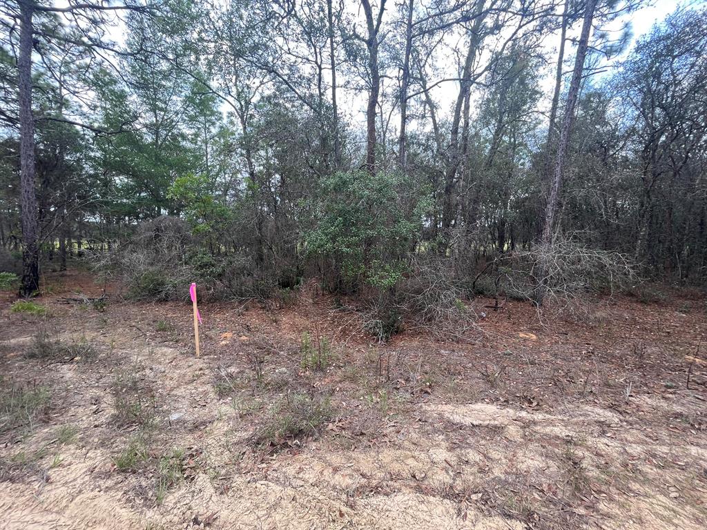 301 S Crestview Avenue, Inverness, FL 34452