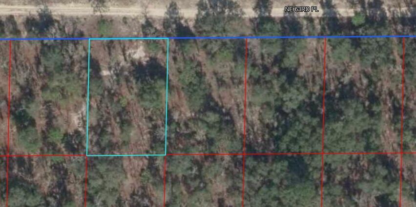 Tbd NE 63rd Place, Bronson, FL 32621