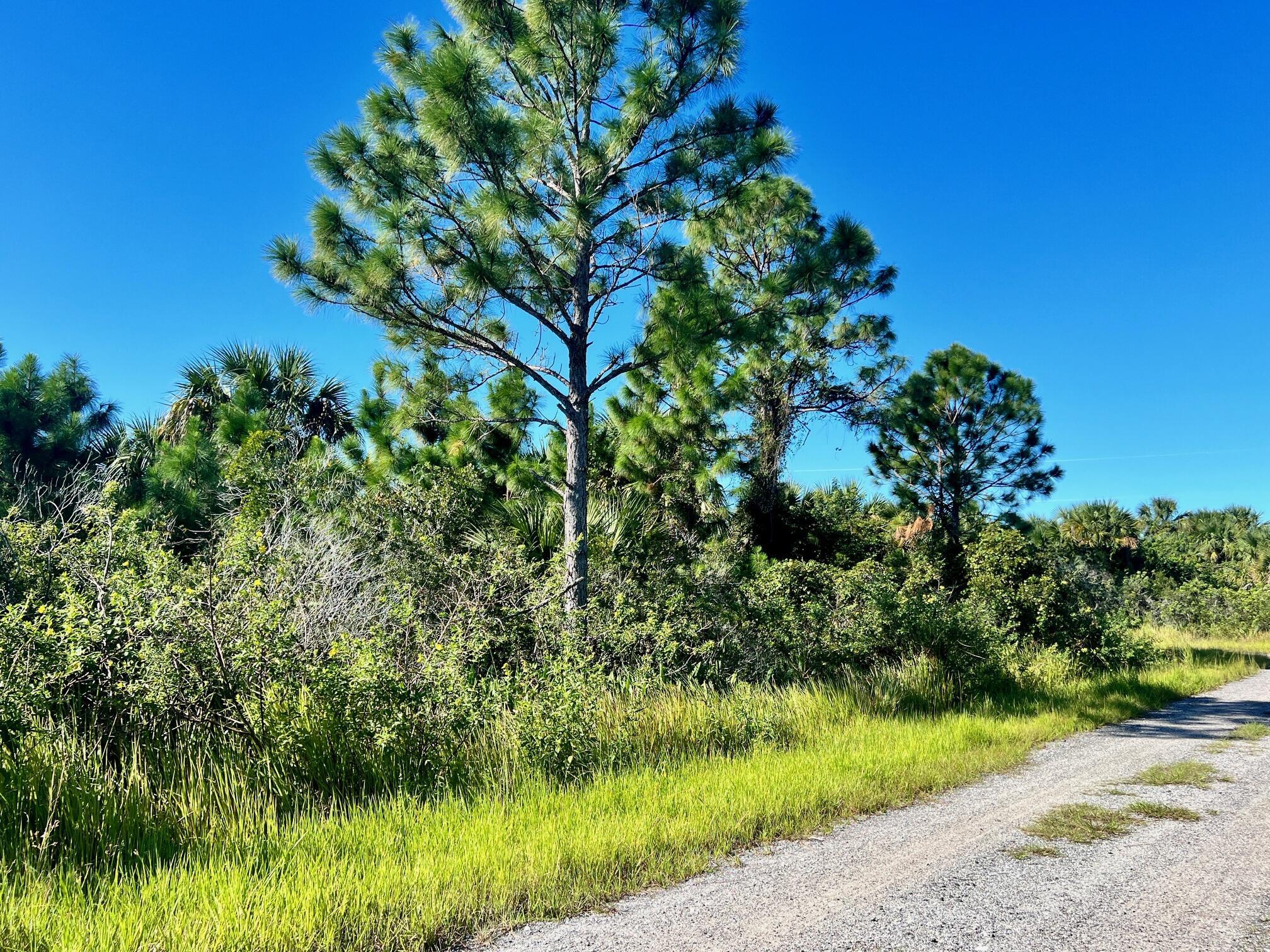 00 Sage Avenue Lot 16, Palm Bay, FL 32908