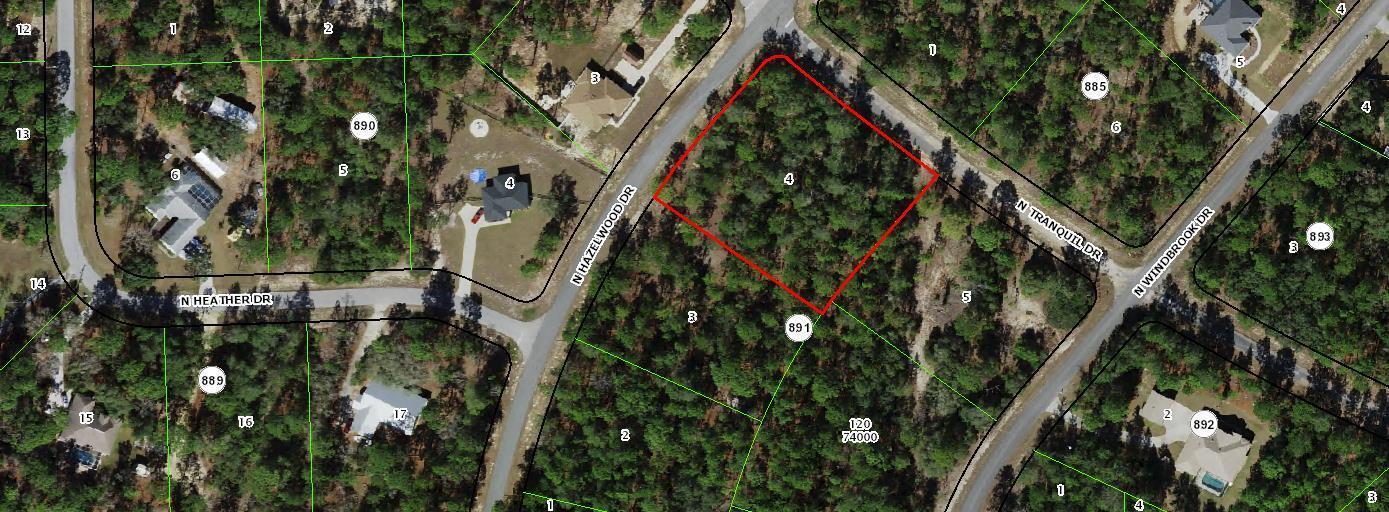 7201 N Hazelwood Drive, Citrus Springs, FL 34433