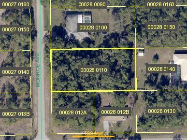 202 Monroe Avenue, Lehigh Acres, FL 33936