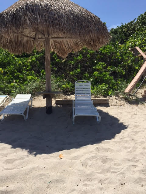 Homes for sale in Highland Beach, FL | 3912 S Ocean Blvd #212, Highland Beach, FL 33487 | MLS# R10341356