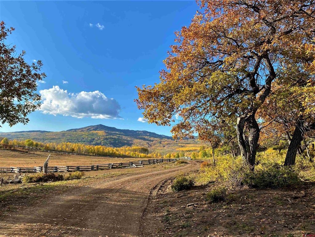 TBD FS rd 128 Forest Service Road, Hotchkiss, CO 81419