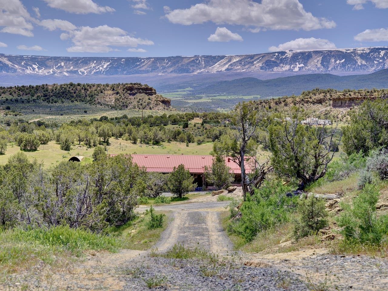 13991 45 1/2 Road, Mesa, CO 81643