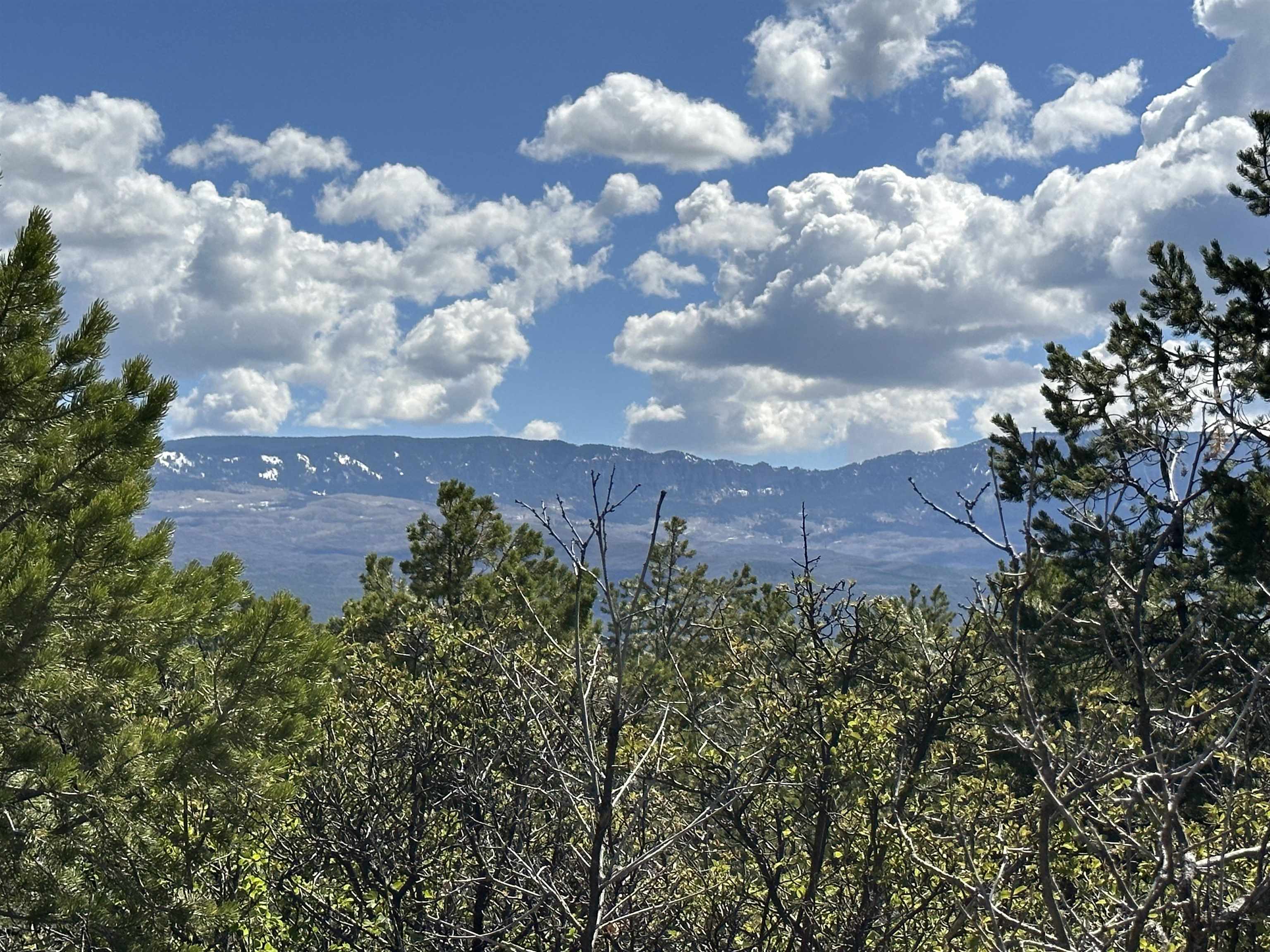 TBD Pinon Road East, Ridgway, CO 81432